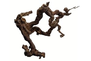 Zoo- Spezi Weinrebe 60-70 cm, Rebholz,Terrariendeko, Floristik, Rebe, Vogelsitzplatz, Vogelkäfig, Vogelstange