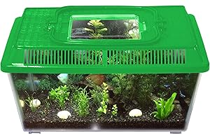 INNOVA BRANDS Innova Plastic Transparent Green 1.2L Terrarium Box, Container Aquarium Tank