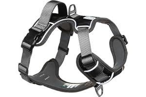 Embark Pets Adventure Dog Harness, Easy On and Off with Front and Back Lead Attachments & Control Handle - No Pull Training, Size Adjustable and No Choke (XL Black)