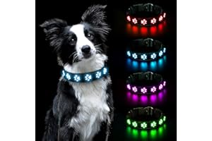 AUAUY Luminous Dog Necklace, Luminous Collar Waterproof USB Rechargeable, Adjustable LED Dog Collar for Small Medium Large Dogs Night Walking with Safety (Blue-L)