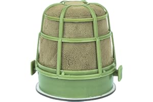 INTERFLOWERS GMBH Auto Corso mit Saugnapf,Hochzeitsschmuck,Blumenschmuck