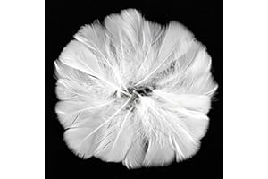 SUNRIZ Federn zum Basteln, 300 Stück Natürliche Weiße Bastelfedern 8-12cm, Feder für Traumfänger, Hochzeit Deko, Fasching, Ostern, Masken, Schulhandwerk