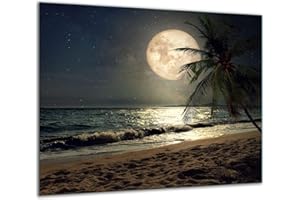 QTA - Placa protectora de vitrocerámica 60 x 52 cm 1 pieza cocina eléctrica universal para inducción protección contra salpicaduras tabla de cortar de vidrio templado como decoración Playa