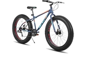 HH HILAND HILAND 24/26 Inch Fat Tire Mountain Bike, 7 Speed Mountain Bike for Boys and Girls, Double Disc Brake, Beach And Snow Bike for Youth Men Women