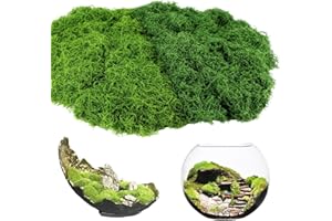 ddckj Fake Moss 200g Artificial Moss for Indoor Plant pots,Room Balcony Garden,Landscaping,Crafts, Decor, Model Making,Patio,Floristry and More (Dark Green 100g+Light Green 100g)