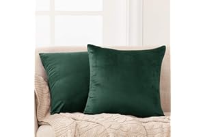 Deconovo Set of 2 Home Decoration Crushed Velvet Cushion Covers 55cm x 55cm 22x22 Inches Throw Pillow Cases Cushion Covers for Garden Chairs Emerald