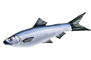 GABY Fish Pillows Clupeiformes (Hering/Sardine) Mini Kissen, Mehrfarbig, 1 Stück (1er Pack)
