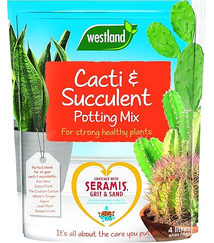 Gardeners Dream Mix Di Mini Discocactus - Confezione Da 10 Piante Grasse In Vaso 5,5 Cm - Piccole Piante Da Interno/Ufficio - Regalo Vivente