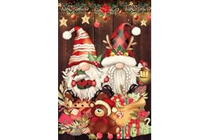 RICUVED Noël Diamond Painting Kits Complet, 5D Gnomes Diamond Painting Kits Complet Adultes Broderie Diamant Noël Diamond Peinture Pleine Ronde Perceuse Diamant Painting Kits Décoration Murale 30x40cm