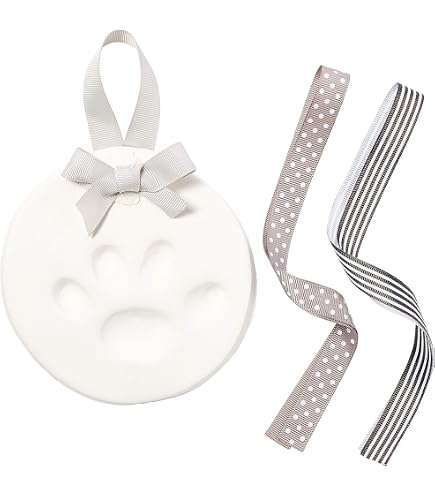 DIY Clay Paw Print Kit Ultimate Pawprint Keepsake Kit - Makes 2 Clay ...