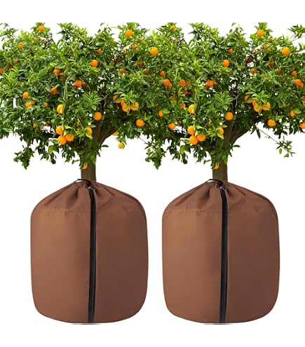 Sac Antigel Pour Plantes 45x50 Cm – Voile Hivernage Réutilisable, Cordon & Fermeture Éclair – Protège Du Froid, Pluie, Vent – Pour Balcon & Jardin