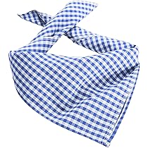 Foulard De Costume Traditionnel Bavarois - Bleu à Carreaux - Avec Edelweiss - Multifonction - Pour La Fête De La Bière