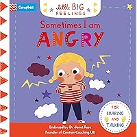 When I am Happy: A flap and slide book to help young children manage ...