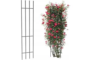 KPGA KAPAGA HOME & GARDEN Kapaga – Treillis pour Plante grimpante 150 cm – Tuteur de Jardin en métal – Support pour Fleurs, Plantes et arbustes – Treillis décoratif extérieur – Noir