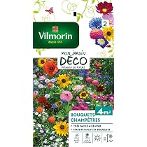Vilmorin Mélange Fleurs Vivaces & Bisannuelles – Jachère Fleurie Durable 50 M² – Semences Professionnelles