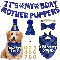 EXPAWLORER Hundeparty-Set – Geburtstags-Accessoires Mit Halstuch, Hut & Schleife Für Hunde (klein, Blau)