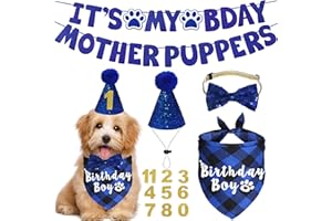 JOTFA Birthday Party Supplies - Multi Size Dog Bandanas, Hats, Bows & Numbers for Pets (Small, Blue)