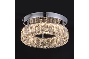 CXGLEAMING Ceiling Light LED Ceiling Light Crystal Chandelier 16 W 2500 K 6500 K 1280 lm Suitable for Living Room, Bedroom, Kitchen, Basement, Office, 25 cm Ceiling Base (Colour Temperature/Brightness