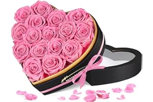 MAMAMIKO 16 Ewige Rosen in Herzform Box - Infinity Rosa Rose, Konservierte Echt Blume Rose Geschenk, Valentinstag Jahrestag Geschenk für Sie, Geburtstag Muttertagsgeschenk für Frauen Mama Freundin Oma