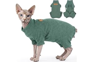 Kattbody efter OP | OP-kropp katt för kastration och sterilisering