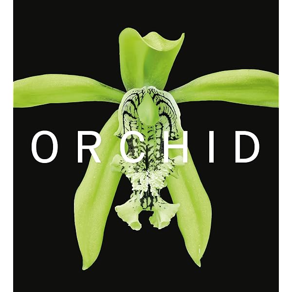 Buy Rhs Orchids: A History Through Botanical Illustration Book
