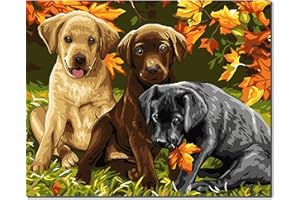 GOLDEN MAPLE Fuumuui Kit de peinture par numéros avec pinceaux, peintures acryliques et toile de 40 x 50 cm, pour débutants adultes et enfants, motif animal, chiens