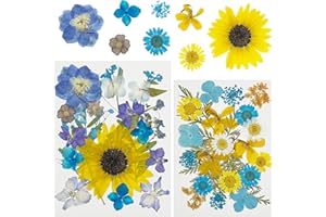 Attuslla 44 Hojas Flores Secas para Resina, Naturales Flor Prensada Mezclada, Prensadas Secas Naturales Flores Secas Reales para Resina, Scrapbooking, Joyería de Resina Epoxi