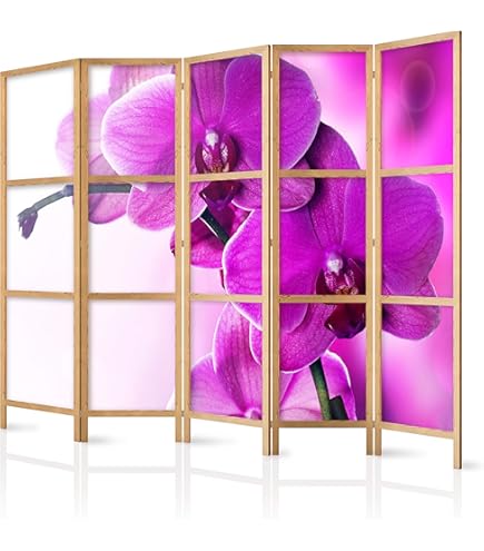 Paravento Fonoassorbente XXL 225x172cm - 5 Pannelli, Schiuma Acustica, Stampa Bilaterale, Per Ufficio E Casa