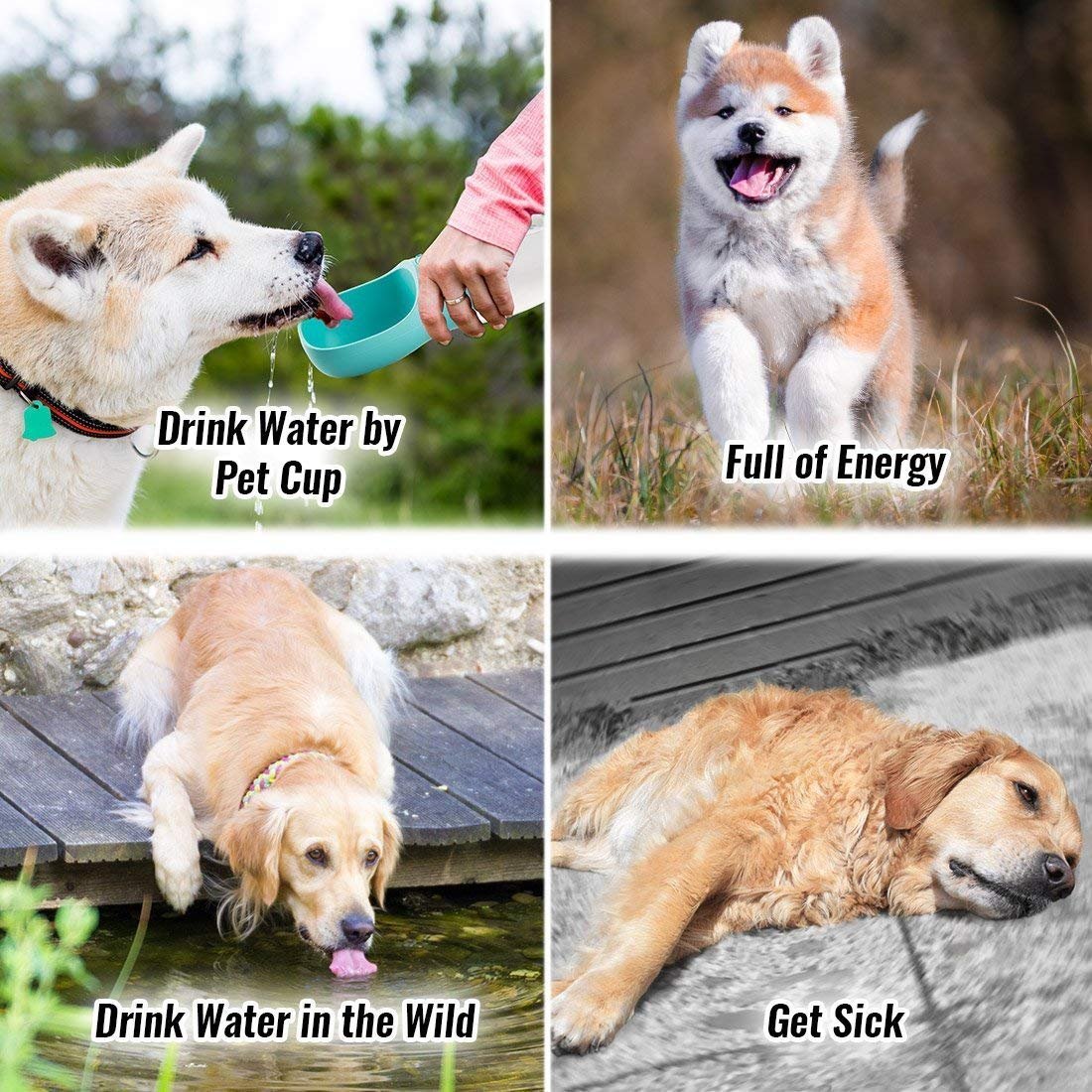 Gourde-Pour-ChienCJMJ-Portable-Voyage-Bouteille-Chien-et-Chat-Pet-Travel-Water-Drink-Bouteille