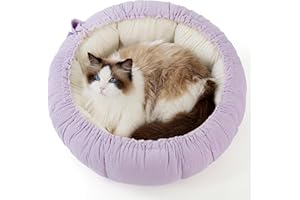 LE SURE Lesure - Lettino per gatti lavabile, 63 x 63 x 20 cm, con cuscino interno su entrambi i lati, per gatti o cani di piccola taglia, colore: viola