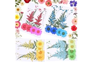 Fiyuer 4 pcs flor prensada flores secas naturales para decoracion manualidades gypsophila Reales múltiples mezcladas Colores Surtidos Resina DIY Decoraciones Florales uñas(Rojo amarillo azul verde)