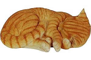 Vivid Arts zenzero gatto addormentato, formato B