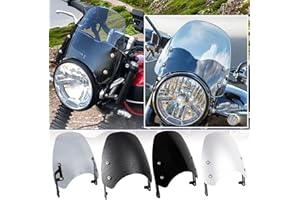 TAZGANTAX Motorcycle Windscreen Windshield Air Flow Wind Deflectors Compatible with Triu-mph Speed Twin 1200 Accessories 2019 2020 (Smoke)
