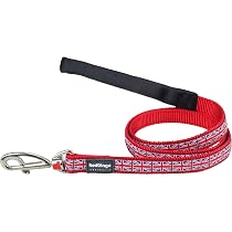 Red Dingo Hundehalsband Union Jack – Verstellbar, Robustes Nylon, Halsumfang 20–32 Cm (Größe S)