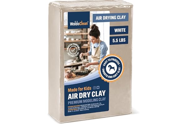 WoldoClean Argile Autodurcissante Blanche - 2,5 kg Pâte à Modeler Sans Cuisson - Pain de Terre Air Dry Clay Résistante aux Fissures pour Poterie & Sculpture