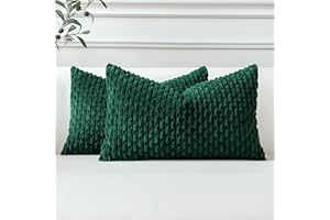 Sungeek 2er Set Kordsamt Kissenbezüge, Dekorativ Zierkissenbezüge Weich Kissenbezug Dekokissen Sofakissen Boho Deko Bezug Kissenhülle für Sofa Schlafzimmer Wohnzimmer (Dunkelgrün, 30x50 cm)