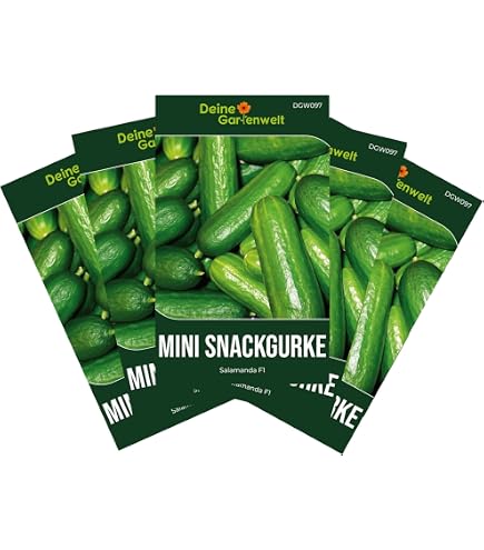 bio luzerne saatgut kaufen Bio-Alfalfa Luzerne Sprossen kaufen main image 1