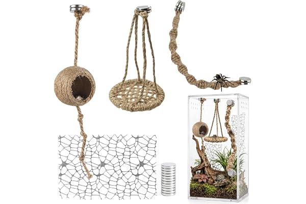 ZHITENG 15 stycken magnetisk hoppspinning tillbehörsset (inte terrarium) | Innehåller repstegar, gungor, bon, mossremsor och magneter, för springspindel, terrarium, vargspindlar