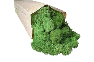 BKEGIDAF Muschio Stabilizzato Lichene Stabilizzato Naturale 100gr Qualità Premium Colore Natural Green Verde Stabilizzato Colorato Ideale Per Giardino Verticale Quadri Vegetali Modellismo Quadro Presepe