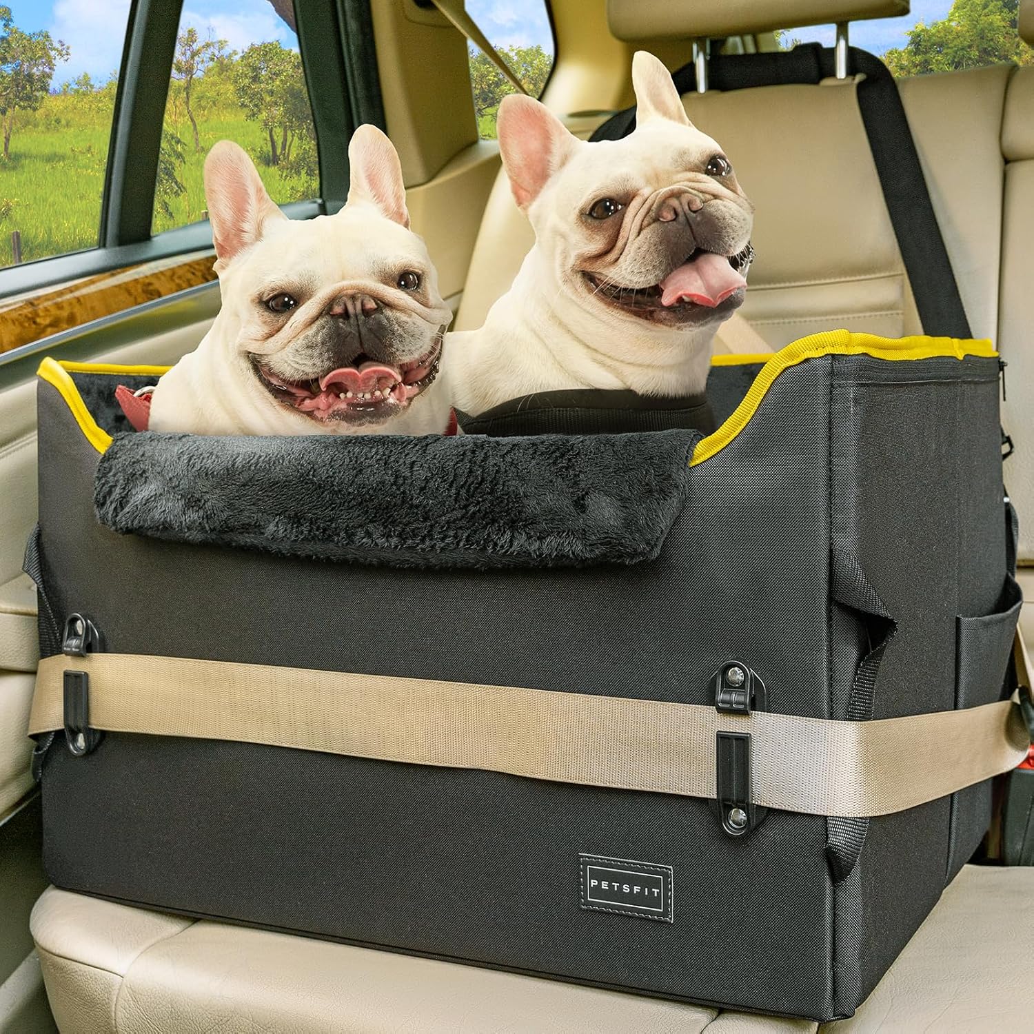 Petsfit Asiento Perro Coche Plegable, Bolsa Asiento Elevadora con Cinturones de Seguridad para Perros medianos o 2 Perros pequeños