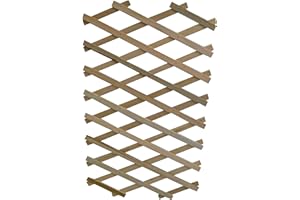 Apollo Gardening Ltd Treillis en Bois Extensible avec Support pour Plantes Flexible