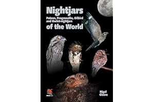 Nightjars, Potoos, Frogmouths, Oilbird, and Owlet–nightjars of the World: 9 (Wildguides)