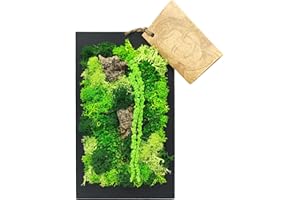 I GIARDINI DI GIULIA - Quadro da Parete in Muschio Stabilizzato | Manutenzione Zero | Design Elegante | Dimensioni Compatte 14,5x24,5 cm | Arredo Naturale | Cornice Nera, Legno