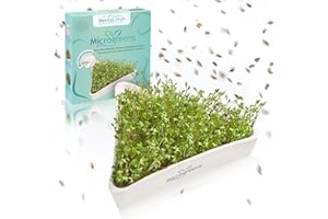 Mental-High® Ciotola per crescione, con colino in acciaio inox, ciotola triangolare per semi di crescione, germinazione sostenibile senza terra, germinazione in ceramica con design floreale della
