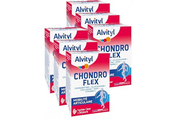 Urgo - Chondro Flex chondroitine glucosamine collagène MSM Vit C - SIX MOIS DE TRAITEMENT - Lot de 6 boites