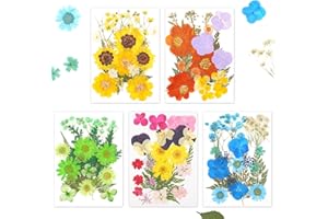 GUGXIOM 100 Unidades de Flores secas prensadas. Precioso Conjunto de Flores prensadas Reales para Manualidades, álbumes de Recortes y Fundas para teléfonos. (Canto de los pájaros y de Las Flores)