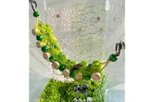 Okueejur Jumping Spider Rope Bridge,A Solid Wood Climbing Suspension Bridge, Jumping Spider Enclosure Accessory, Handmade Spider Jumping Platform, Decorative Accessory for Small Reptile (Big)