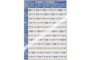 BIRDS PIANO ACADEMY The Piano Chords Poster - Piano & Keyboard Chord Chart | Learn Piano Chords | Piano Practise Aid | Pianists, Singers and Songwriters Piano Chord Aid (A3 Size Folded)
