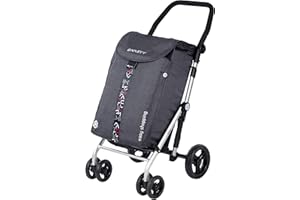 CARLETT - Carro de la Compra de 4 Ruedas Plegable con Bolsa Isotérmica de 11L de Capacidad | Carrito de Gran Capacidad de 65L/32kg con Manillar Regulable y Freno de Seguridad | Modelo Lett470 | Gris