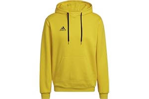 Adidas Homme Entrada 22 Sweat Hoodie